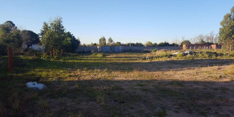 Resized_20190524_165016002